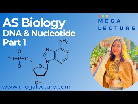 Video guide by MEGA Lecture: NucleoTide Part 1 #nucleotide