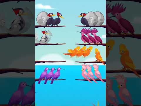 Video guide by Sunil Koderma: Bird Sort Color Puzzle Game Level 91 #birdsortcolor