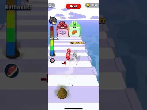 Video guide by Jaggy: Doggy Run Level 4 #doggyrun