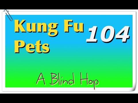Video guide by GameHopping: Kung Fu Pets Part 104 #kungfupets