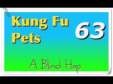 Video guide by GameHopping: Kung Fu Pets Part 63 #kungfupets