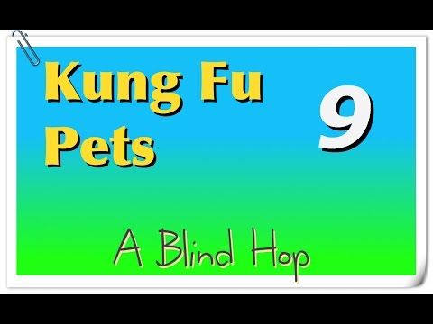 Video guide by GameHopping: Kung Fu Pets Part 9 #kungfupets