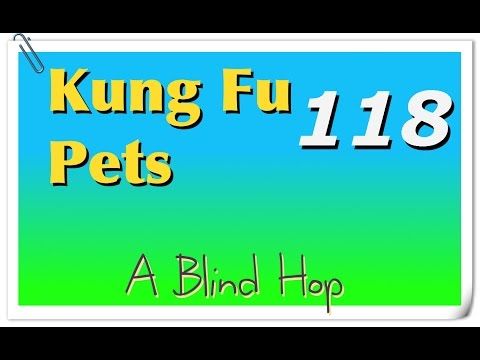 Video guide by GameHopping: Kung Fu Pets Part 118 #kungfupets