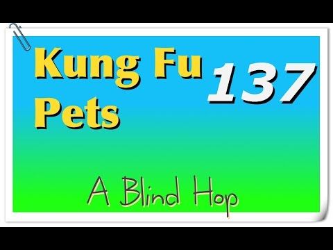 Video guide by GameHopping: Kung Fu Pets Part 137 #kungfupets