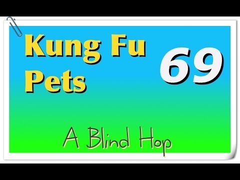 Video guide by GameHopping: Kung Fu Pets Part 69 #kungfupets