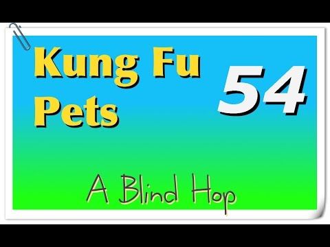 Video guide by GameHopping: Kung Fu Pets Part 54 #kungfupets