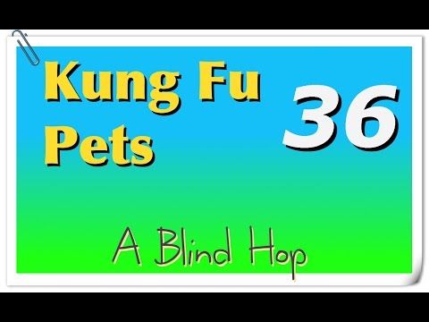 Video guide by GameHopping: Kung Fu Pets Part 36 #kungfupets