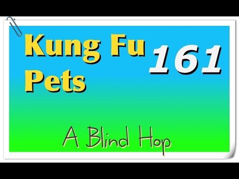 Video guide by GameHopping: Kung Fu Pets Part 161 #kungfupets