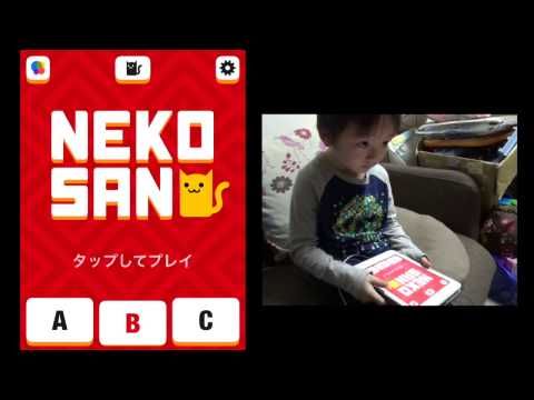 Video guide by はるぽんちゃんねる: Nekosan Level 12 #nekosan