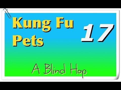 Video guide by GameHopping: Kung Fu Pets Part 17 #kungfupets