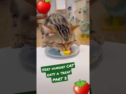 Video guide by I_am_ cat: Very Hungry Cat Part 2 #veryhungrycat