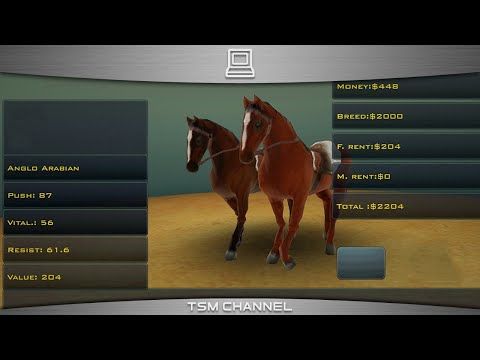 Video guide by TSM Channel: Race Horses Champions Part 6 #racehorseschampions