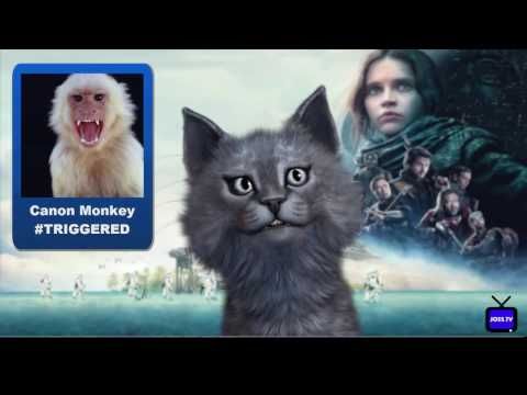 Video guide by Snow the Wonder Cat Show: The Wonder Cat Level 13 #thewondercat