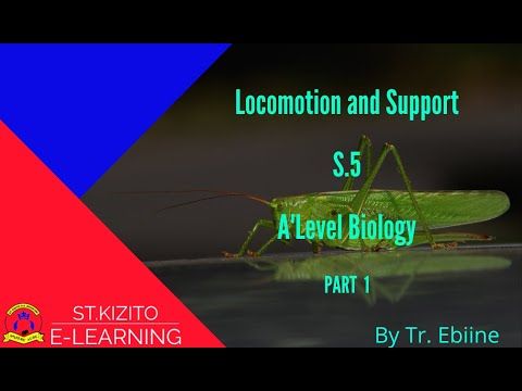 Video guide by St. Kizito e-learning: LocoMotion Part 1 #locomotion