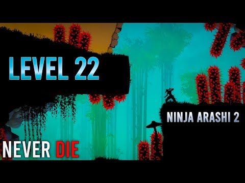 Video guide by ProVibe Gameplay: Ninja Arashi Level 22 #ninjaarashi