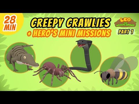 Video guide by Leo the Wildlife Ranger - Official Channel: Creepy Crawlies Part 13 #creepycrawlies