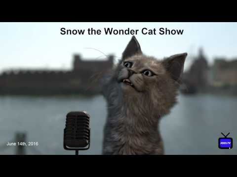 Video guide by Snow the Wonder Cat Show: The Wonder Cat Level 7 #thewondercat