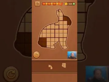 Video guide by Skill Game Walkthrough: Block Puzzle Wood Level 41 #blockpuzzlewood