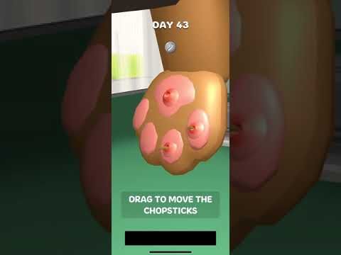 Video guide by RebelYelliex: Paw Care! Level 43 #pawcare