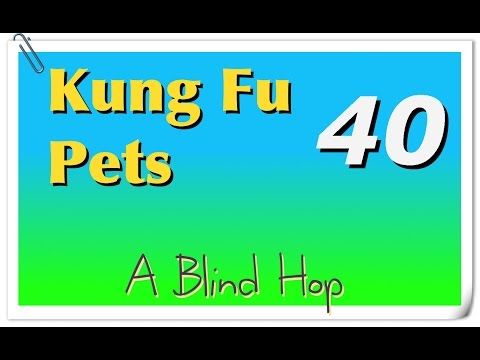 Video guide by GameHopping: Kung Fu Pets Part 40 #kungfupets