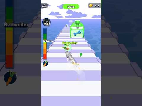 Video guide by Bam's gaming 221: Doggy Run Level 2 #doggyrun