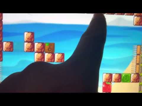 Video guide by Iverson Bradford: Hungry Piggy Level 27 #hungrypiggy