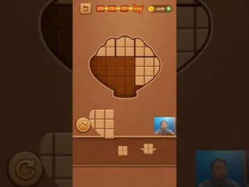 Video guide by Skill Game Walkthrough: Block Puzzle Wood Level 251 #blockpuzzlewood