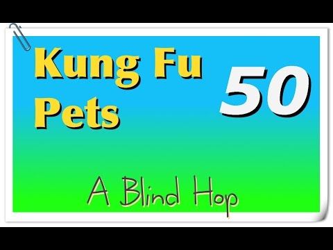 Video guide by GameHopping: Kung Fu Pets Part 50 #kungfupets