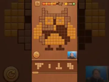 Video guide by Skill Game Walkthrough: Block Puzzle Wood Level 401 #blockpuzzlewood