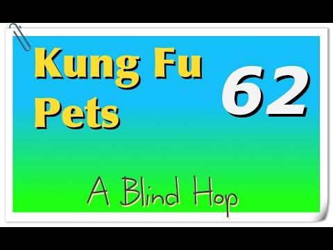 Video guide by GameHopping: Kung Fu Pets Part 62 #kungfupets
