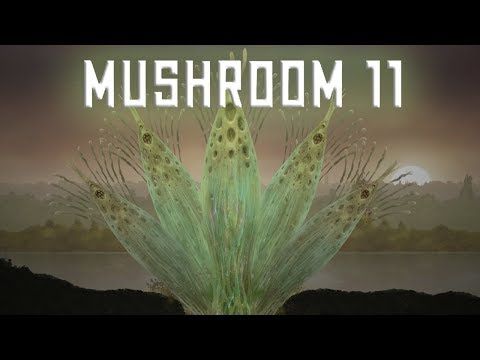 Video guide by Kayde: Mushroom 11 Part 16 #mushroom11