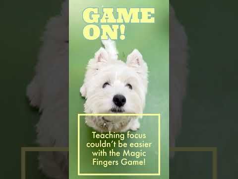 Video guide by Wynsie Marie Chan: Focus Game Level 1 #focusgame