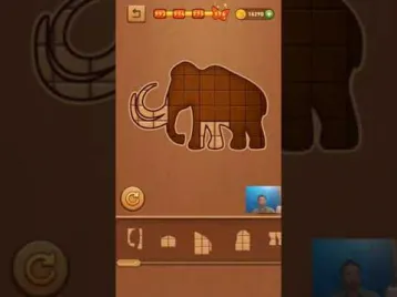 Video guide by Skill Game Walkthrough: Block Puzzle Level 991 #blockpuzzle