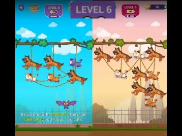 Video guide by Lim Shi San: Kitten Escape Level 6 #kittenescape