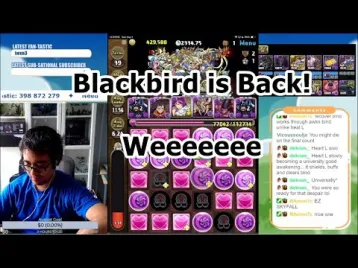Video guide by Mantastic PAD: Blackbird! Level 15 #blackbird