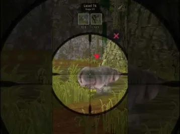 Video guide by GAMER_KVM: Animal Hunter: Wild Shooting Level 74 #animalhunterwild
