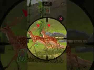 Video guide by GAMER_KVM: Animal Hunter: Wild Shooting Level 89 #animalhunterwild