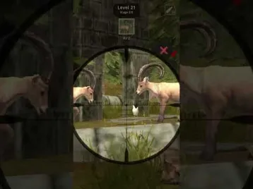 Video guide by GAMER_KVM: Animal Hunter: Wild Shooting Level 21 #animalhunterwild