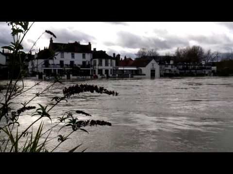 Video guide by david field: Flood-It! 2 Level 11 #floodit2