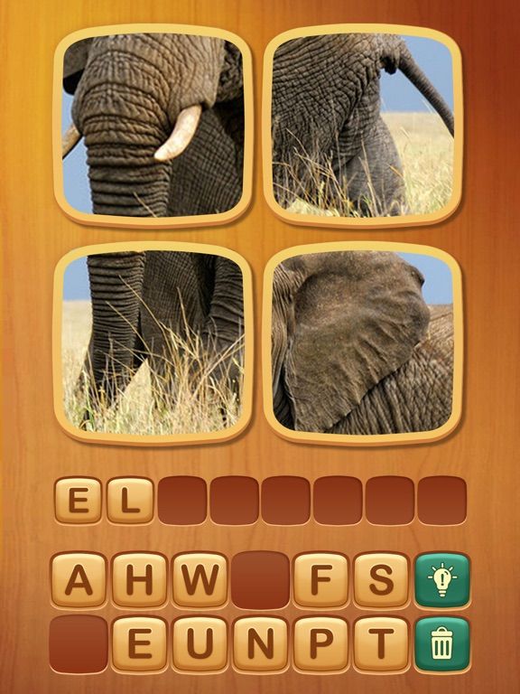 4 Pics 1 Word Cookie App Screenshot