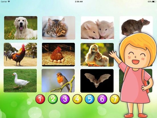 Animal Vocabulary In English game screenshot
