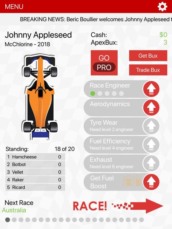 APEX Race Manager 2019 game screenshot