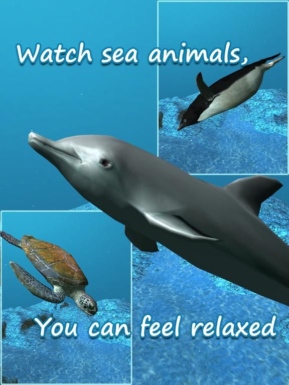 Aquarium Games App Screenshot