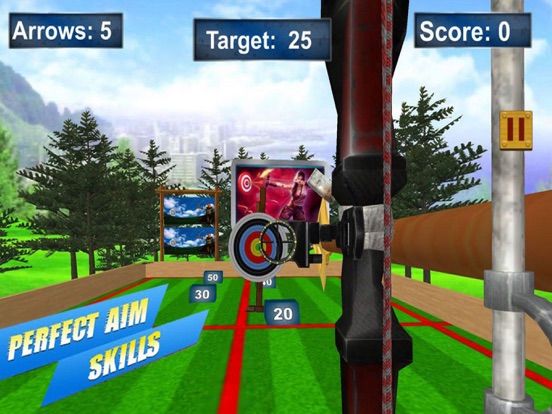 Archery Target Master Pro App Screenshot