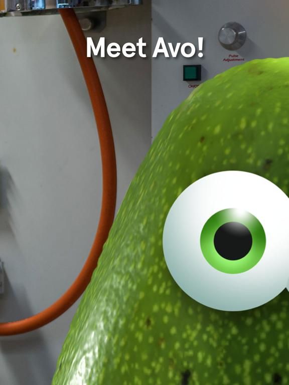 Avo! App Screenshot