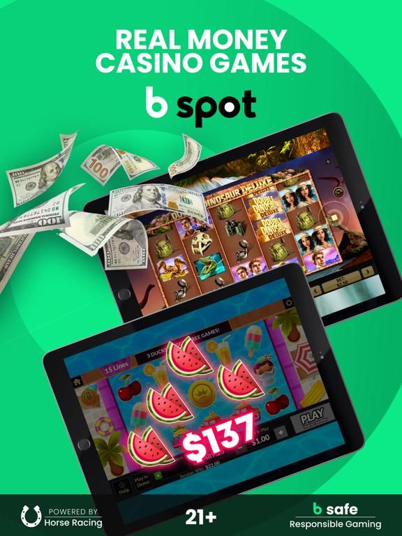 B spot™ game screenshot