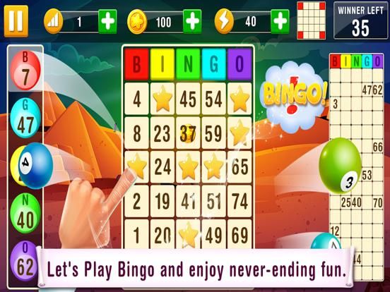 Bingo Card Game game screenshot