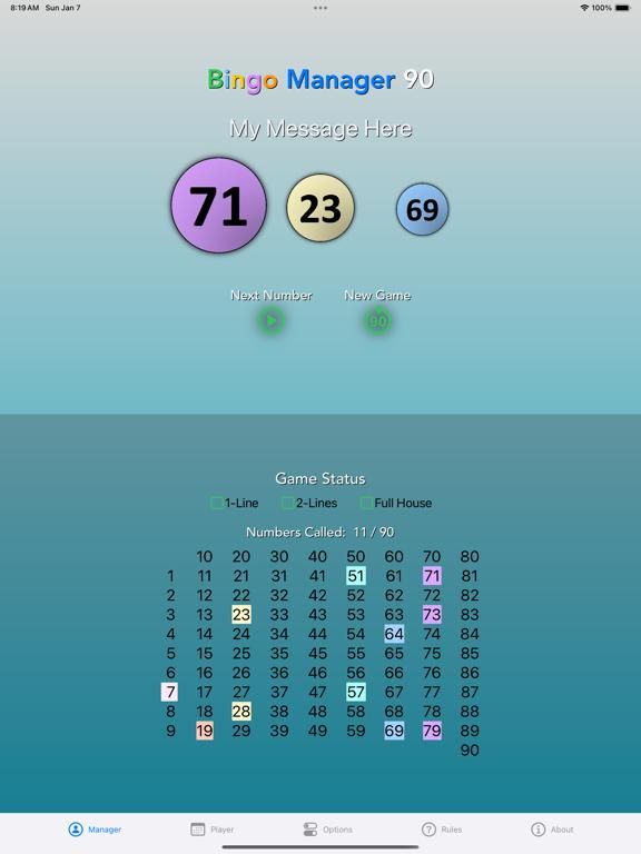 Bingo Manager 90 game screenshot