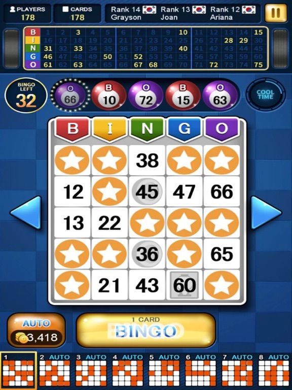 Bingo Master King game screenshot