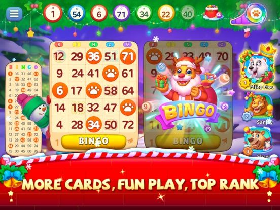 Bingo Wild-BINGO Games Online game screenshot